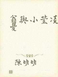 翁与小莹凌晨欢爱封面