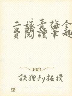 二嫁青梅全文免费阅读笔趣阁