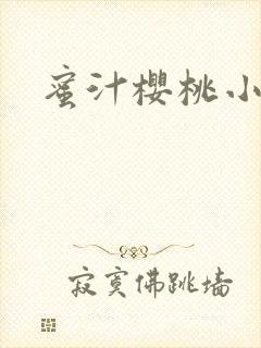 蜜汁樱桃小说封面