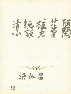 清纯校花堕落记小说免费阅读