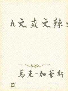 h文爽文辣文