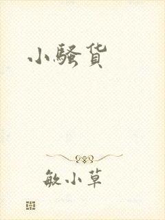 小骚货