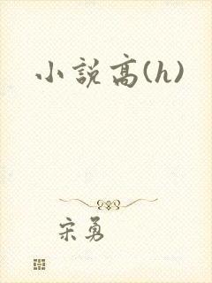 小说高(h)
