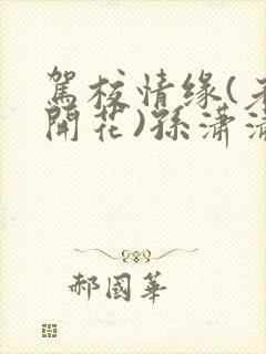 驾校情缘(老树开花)孙潇潇笔趣阁