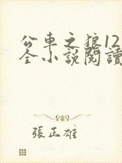 公车之狼12集全小说阅读