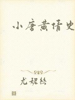 小唐黄倩史封面