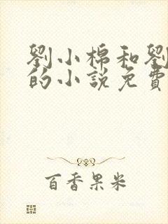 刘小棉和刘易文的小说免费阅读封面