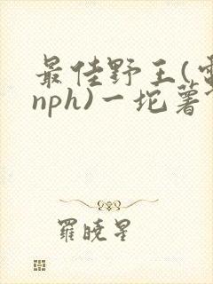 最佳野王(电竞nph)一坨薯饼