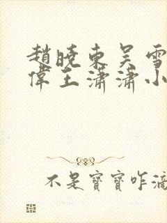 赵晓东吴雪晴郑伟王潇潇小说名字