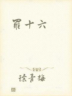 罗十六