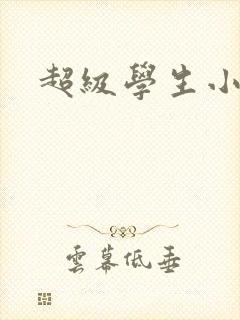超级学生小说