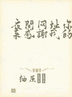 夜间网址你会回来感谢我的封面