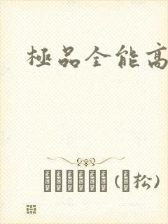 极品全能高手封面