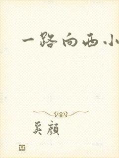 一路向西小说
