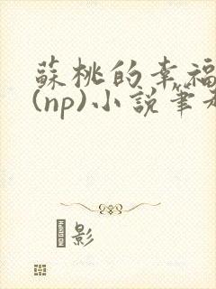 苏桃的幸福生活(np)小说笔趣阁沐沐