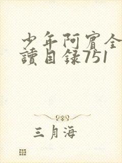 少年阿宾全文阅读目录751