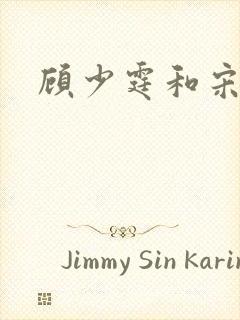 顾少霆和宋斯曼