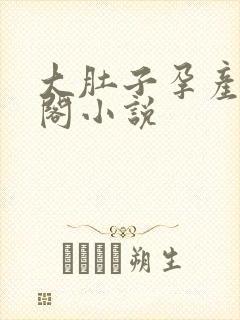 大肚子孕产笔趣阁小说封面