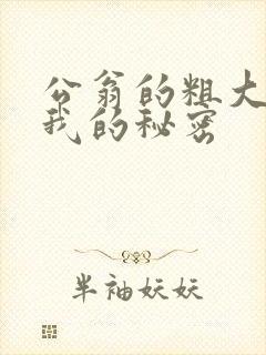 公翁的粗大放进我的秘密