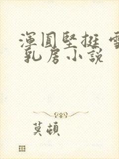 浑圆坚挺 雪白 乳房小说