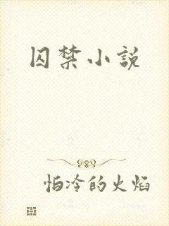囚禁小说