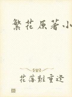 繁花原著小说