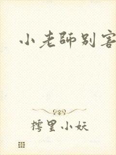 小老师别害羞封面