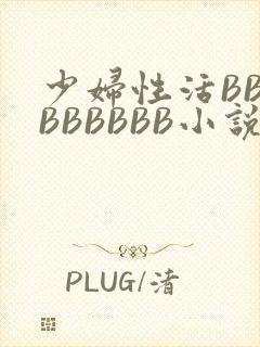少妇性活BBBBBBBBB小说