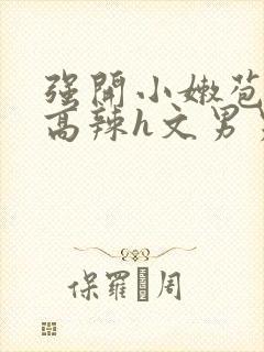 强开小嫩苞h文高辣h文男男封面