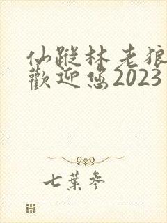 仙踪林老狼入口欢迎您2023