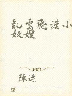 乱云飞渡小说之姣嫂