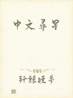 中文寻星