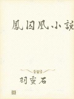 凤囚凰小说