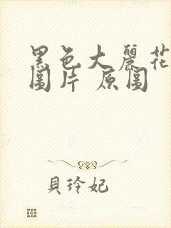 黑色大丽花真实图片 原图