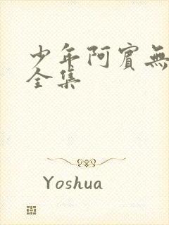 少年阿宾无删减全集封面