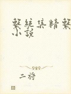 系统集精系统 小说