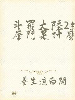 斗罗大陆2绝世唐门是什么时候出的封面