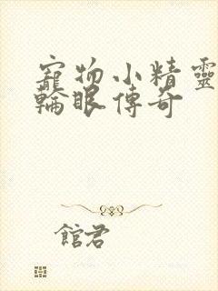 宠物小精灵之写轮眼传奇