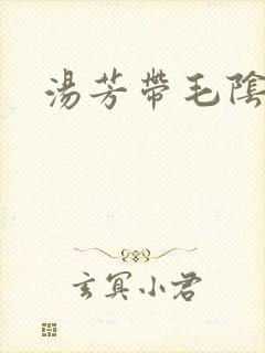 汤芳带毛阴部封面