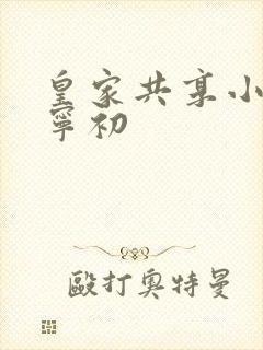 皇家共享小公主宁初