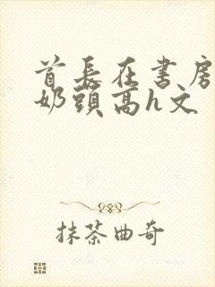 首长在书房含我奶头高h文