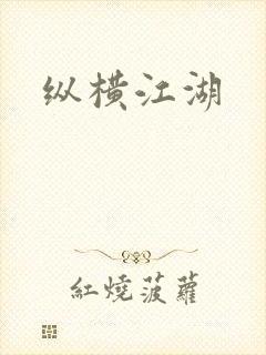 纵横江湖封面