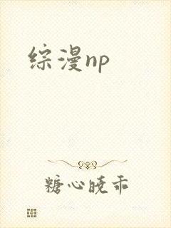 综漫np封面