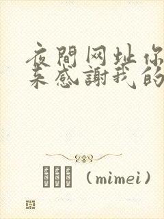 夜间网址你会回来感谢我的