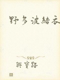 野多波结衣