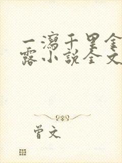 一泻千里金银花露小说全文免费阅读