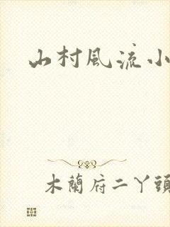 山村风流小说