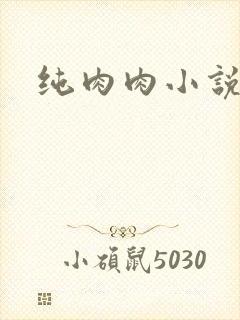 纯肉肉小说封面