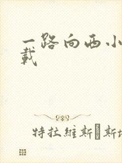 一路向西小说下载