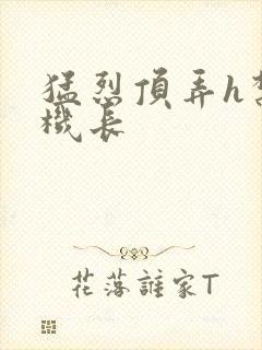 猛烈顶弄h禁欲机长封面